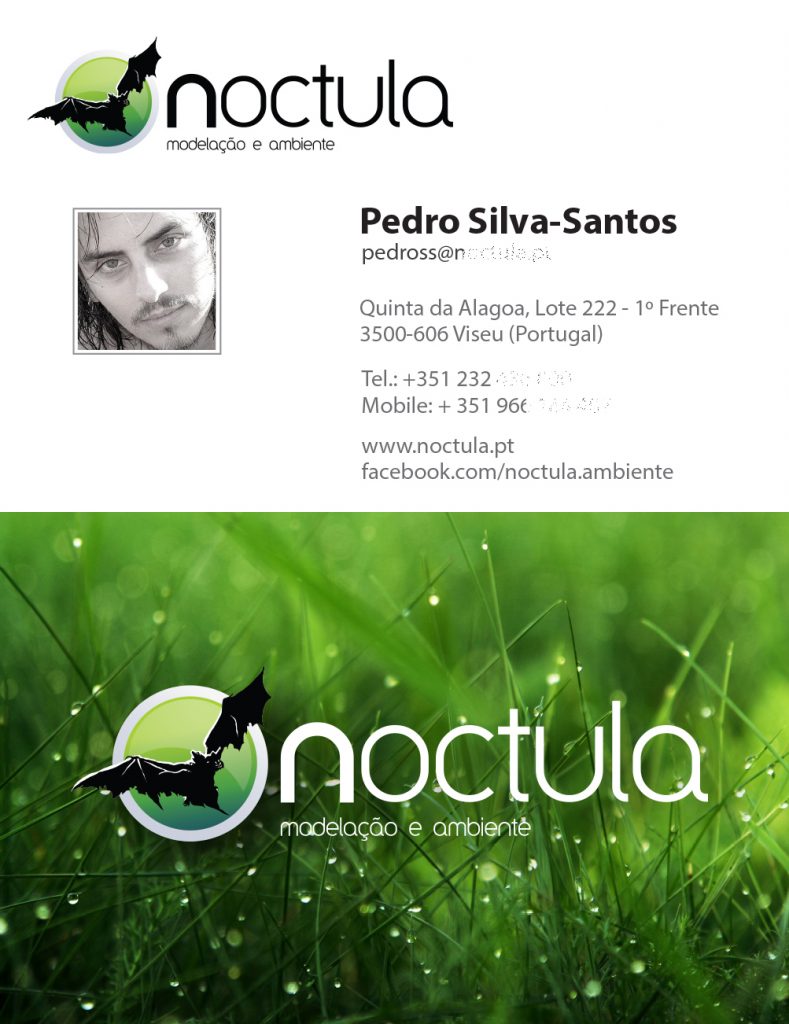 first-business-card-Pedro-Silva-Santos-NOCTULA
