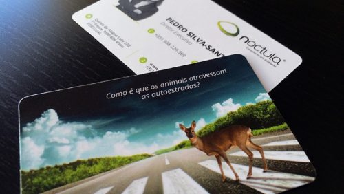 00-contacts-pedro-silva-santos-noctula-business-card